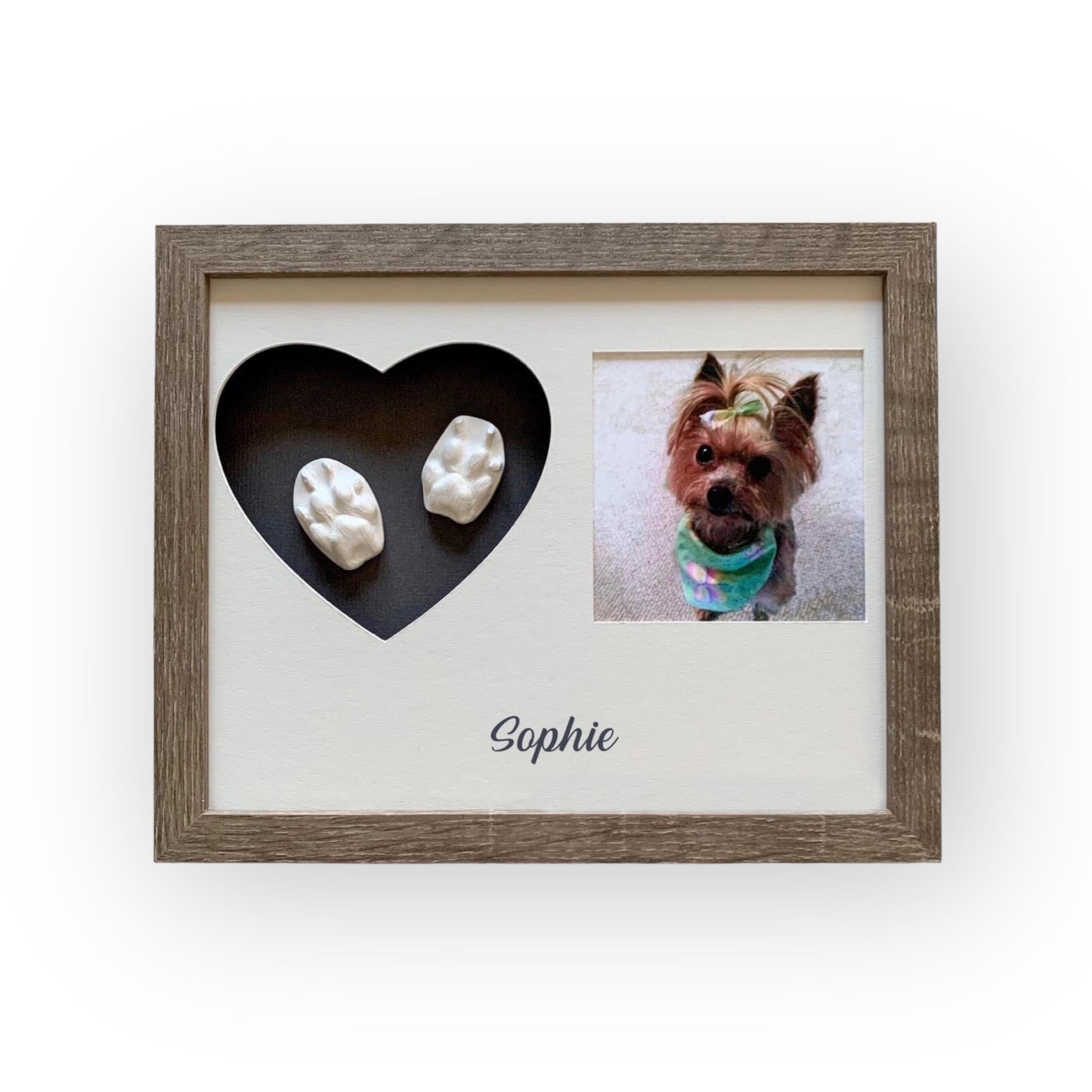 Pet casting kit with photo for a small dog/cat