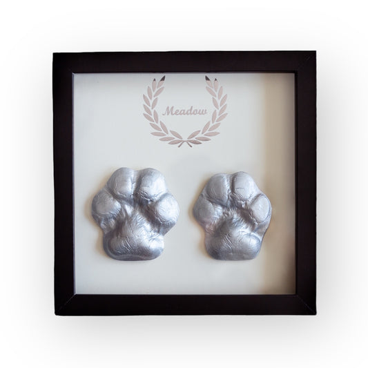 Pet casting kit for a medium size dog