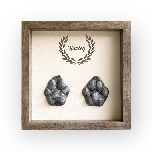 Pet casting kit for a big dog