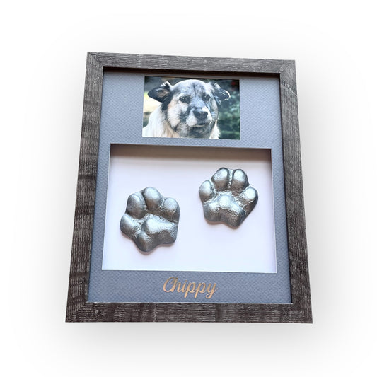 Pet casting kit with photo for a big/medium size dog